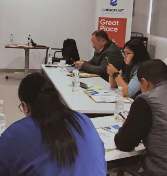 Fatij Tipos de Auditoría